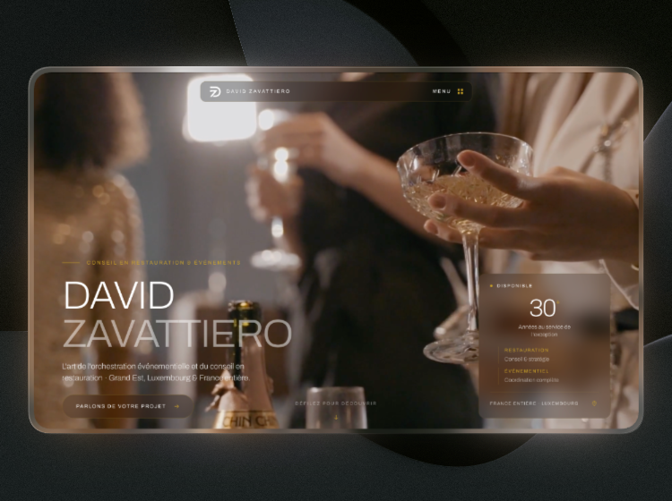 site internet david zavattiero par brik ange